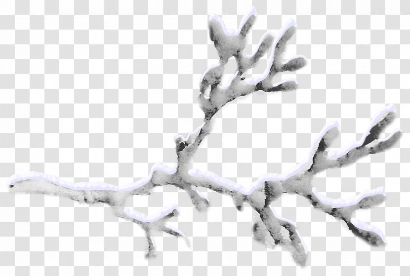 Snow Twig - Snow-covered Branches Transparent PNG