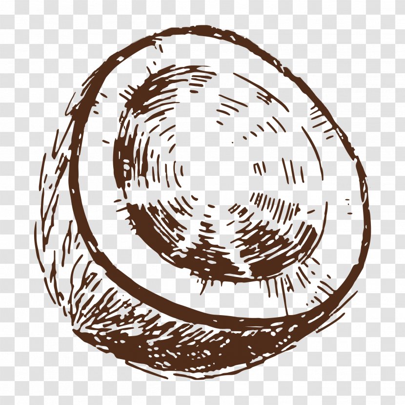 Drawing Coconut Pencil Sketch Transparent PNG