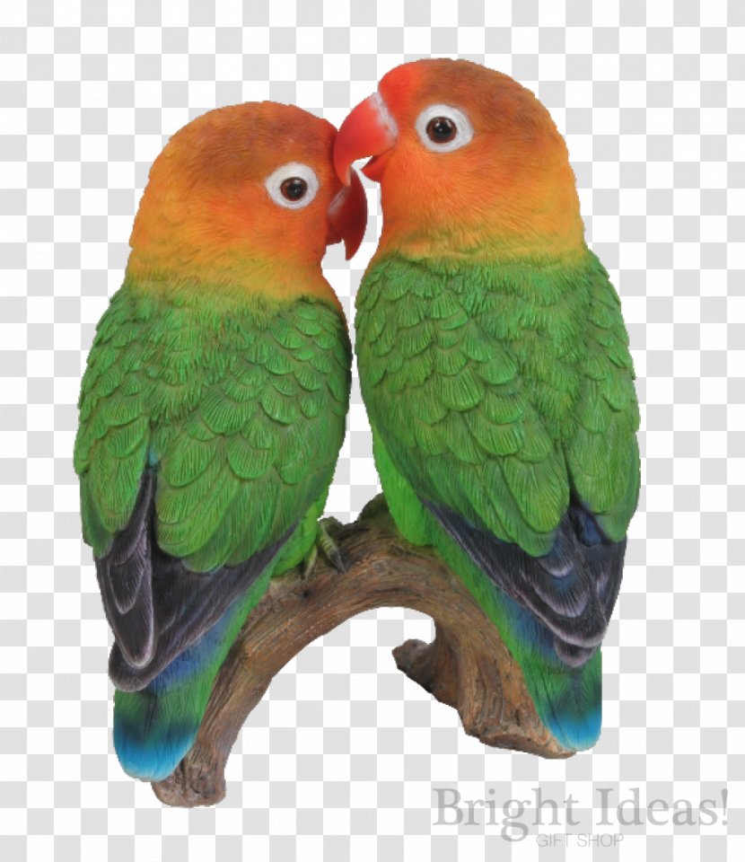 Lovebird Parrot Ornament Art - Common Pet Parakeet - Love Bird Transparent PNG