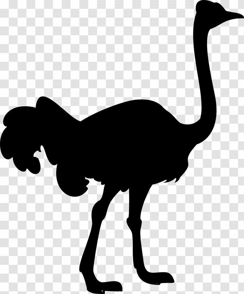 Llama Clip Art Vector Graphics Silhouette Royalty-free - Depositphotos - Ostrich Transparent PNG