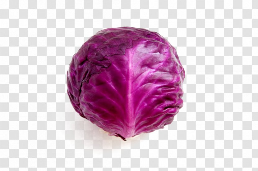 Red Cabbage Broccoli Cauliflower Brussels Sprout - Apple - Purple Transparent PNG