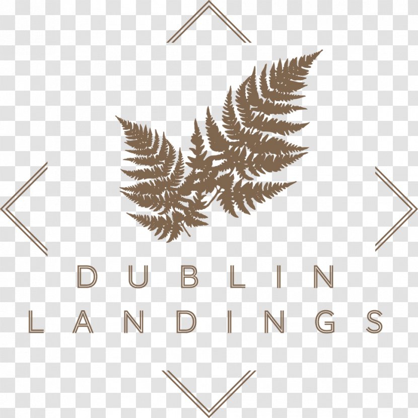 Host Point Campus Student Accommodation Dublin Landings Lensmen Photography And Video Production Logo - Leaf - Bally Pattern Transparent PNG
