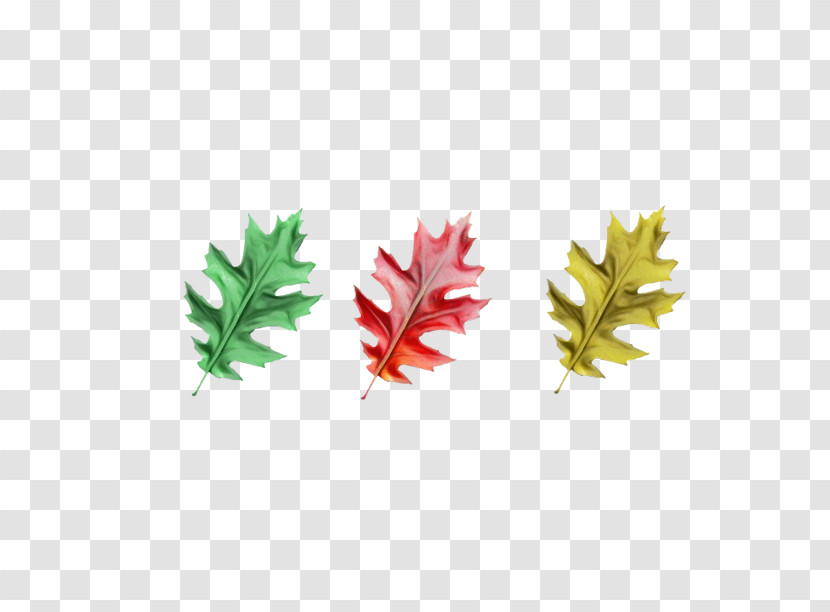 Leaf Maple Leaf / M Meter Tree Plant Transparent PNG