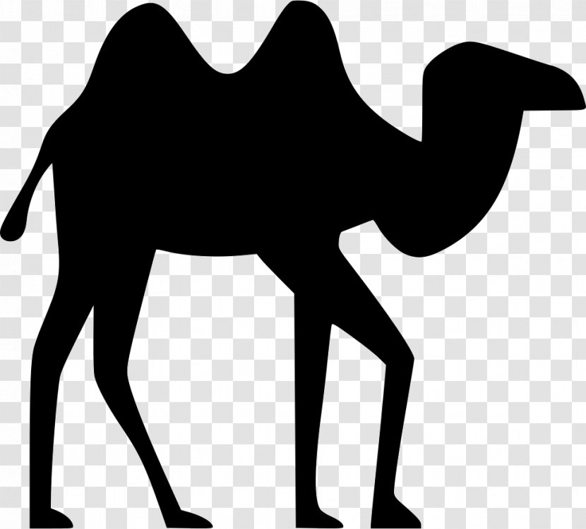 Clip Art Silhouette Dromedary Image - Camel - Imagen Svg Transparent PNG