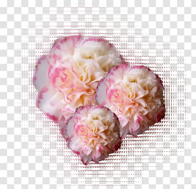 Cut Flowers Clip Art - Blossom - Flower Transparent PNG