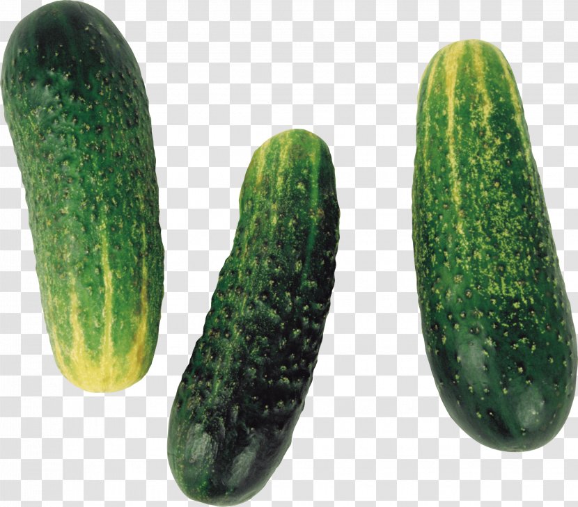 Cucumber Fruit Vegetable Clip Art - Melon - Cucumbers Image Transparent PNG
