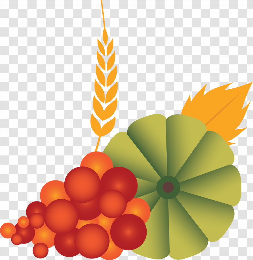 Vegetable Harvest Autumn Transparent PNG