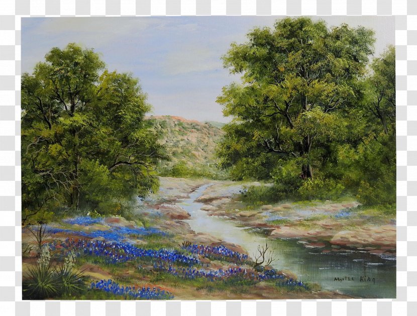 Texas Bluebonnet Landscape Painting - Plant Community Transparent PNG