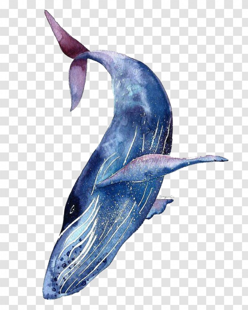 Watercolor: Animals Watercolor Painting Blue Whale Whales - Striped Dolphin Transparent PNG