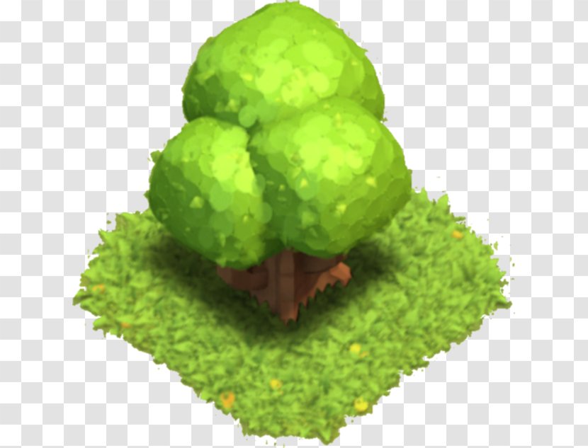 Clash Of Clans Tree Game 0 Supercell - Leaf Vegetable - Coc Transparent PNG