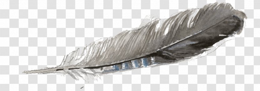 Feather Quill Transparent PNG