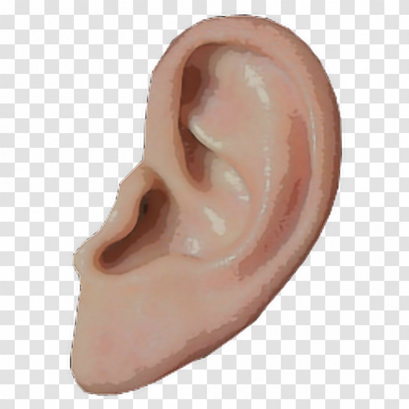 Ear Clip Art - Cartoon Transparent PNG