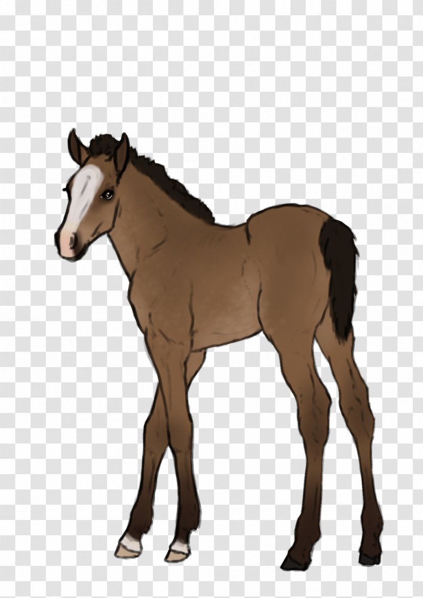 Mustang Foal Stallion Rein Mare - Bit Transparent PNG
