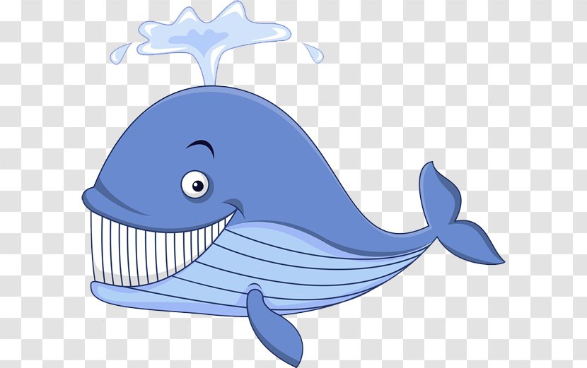 Cartoon Whale Illustration - Blue - Whale's Gaze Transparent PNG