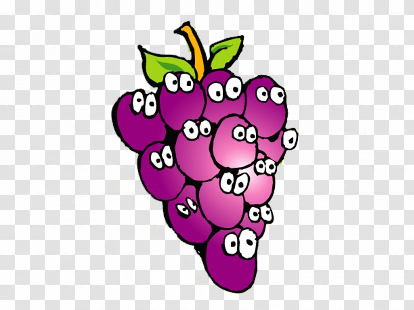 Grape Aguardiente Cartoon Drawing - Flowering Plant - Purple Transparent PNG