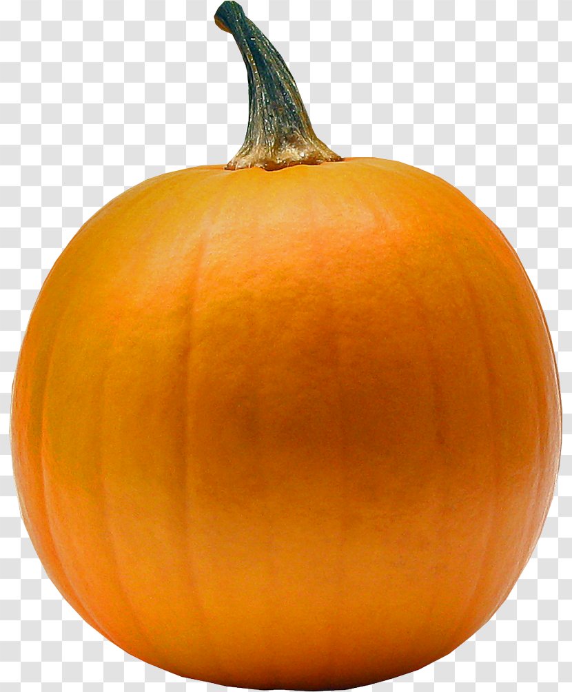 Jack-o'-lantern Pumpkin Gourd Winter Squash - Fruit Transparent PNG