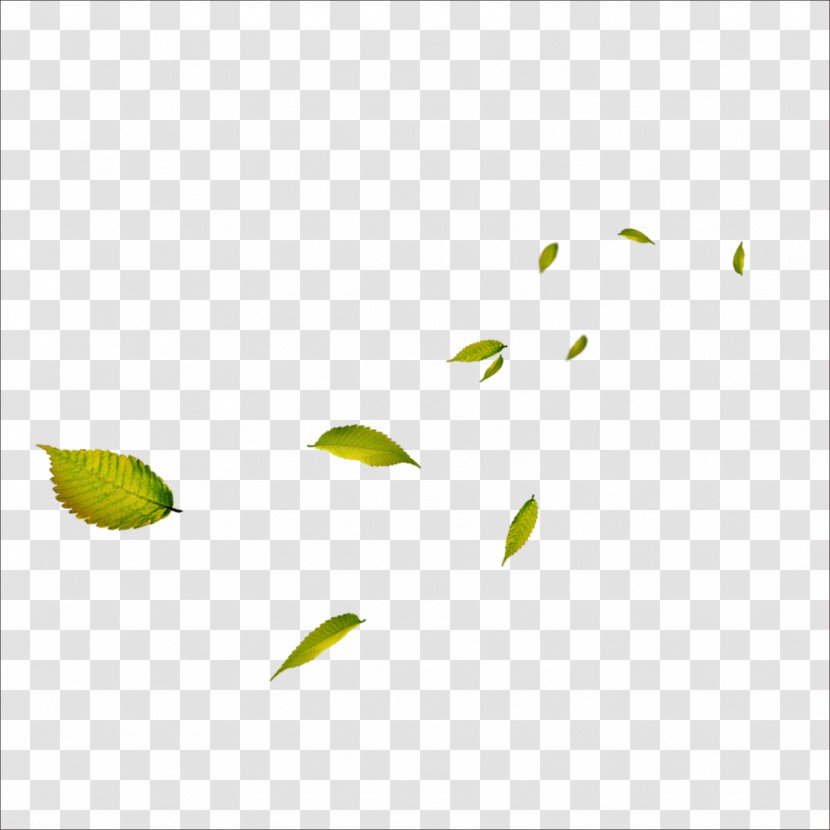 Leaf Google Images Clip Art - Green Transparent PNG