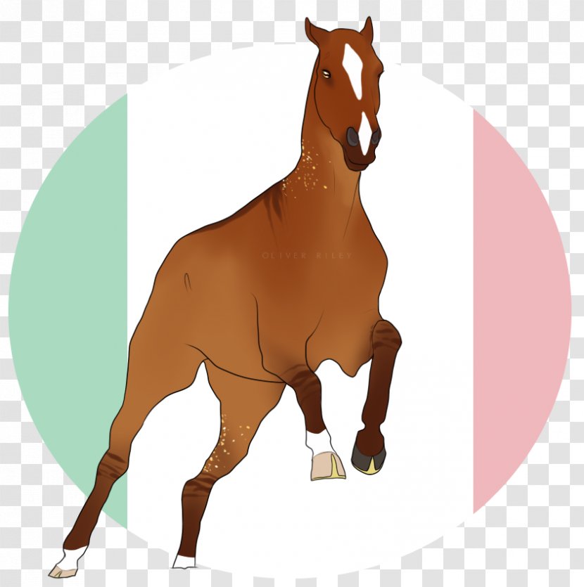 Stallion Mare Foal Mustang Colt - Rein - Gold Dust Transparent PNG