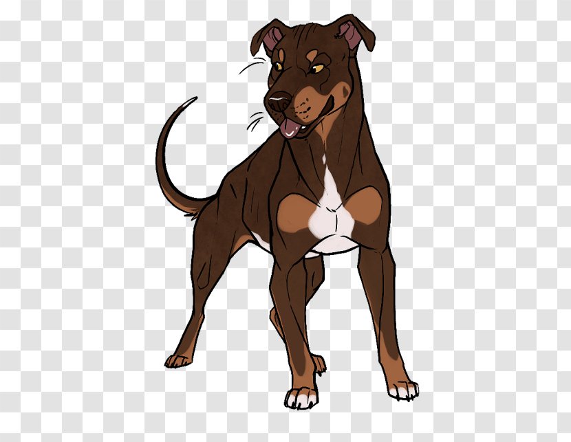 Manchester Terrier German Pinscher Dog Breed Canidae Puppy - American Bulldog Transparent PNG