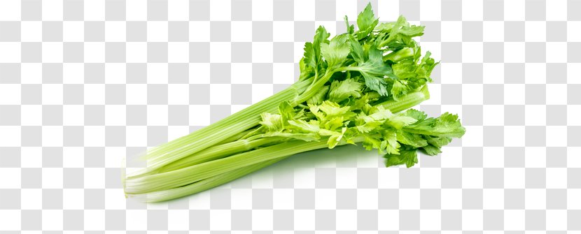 Celery Organic Food Leaf Vegetable Celeriac - Scallion Transparent PNG