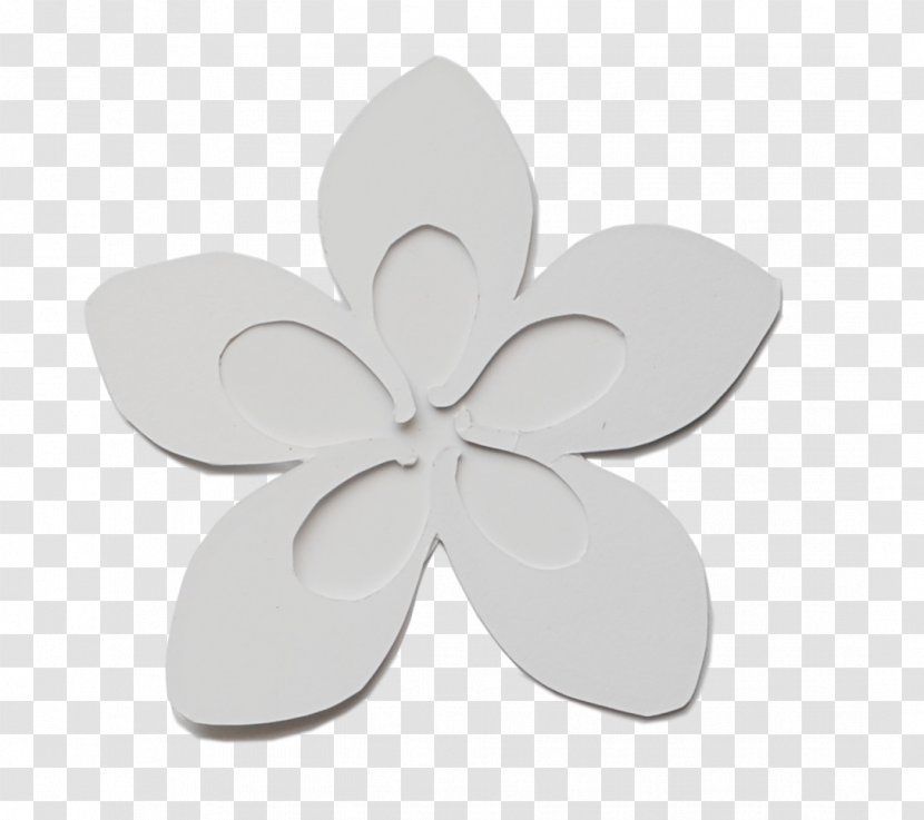 Flower Petal - White - Plumeria Transparent PNG