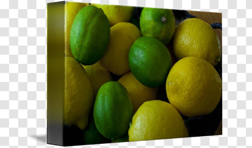 Key Lime Persian Lemon-lime Drink - Acid - Lemon And Transparent PNG
