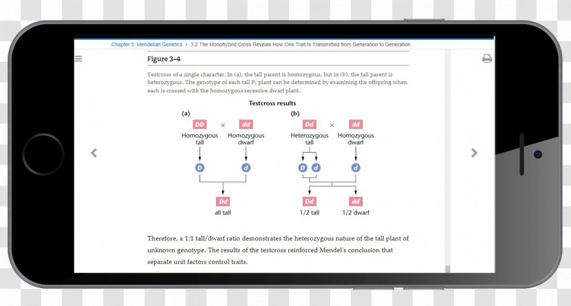 Smarty Mobile App Google Play Android Heart Arrhythmia - Atrial Fibrillation Transparent PNG