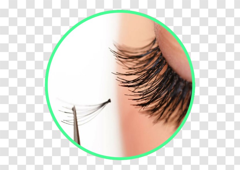 Eyelash Extensions Manicure Beauty Parlour Hair - Cosmetologist Transparent PNG