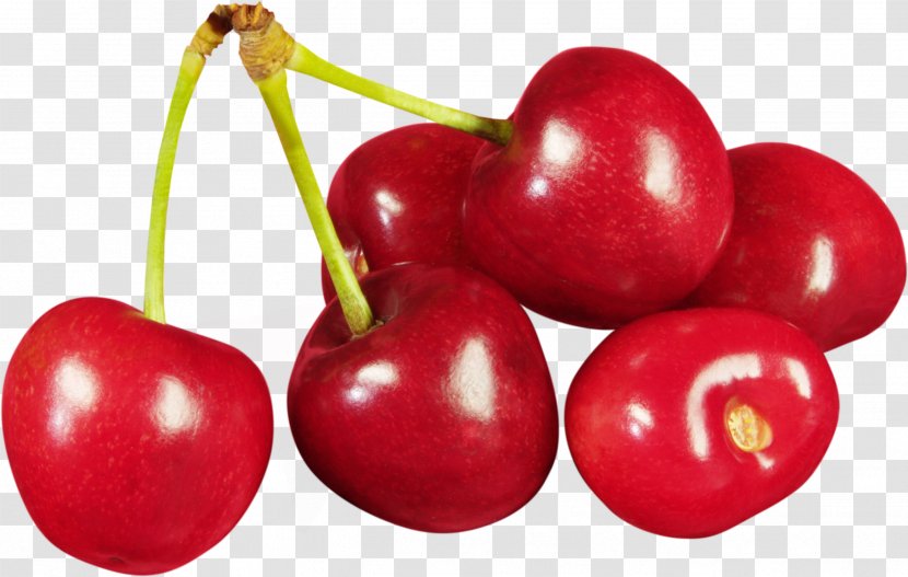 Cherry Clip Art - Drupe - Red Image, Free Download Transparent PNG