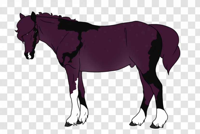 Mane Mustang Stallion Foal Colt - Bridle Transparent PNG