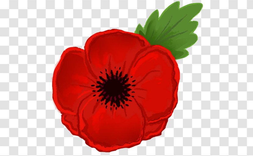 Remembrance Poppy Armistice Day Clip Art - Plant - Red Poppies Transparent PNG
