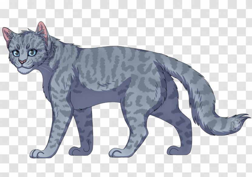 Whiskers Domestic Short-haired Cat SkyClan's Destiny Wildcat - Brackenfur Transparent PNG