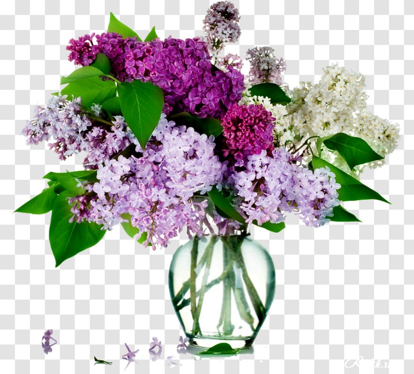 Common Lilac Flower Bouquet Rose - Flowering Plant Transparent PNG