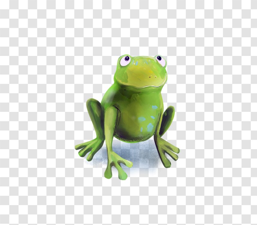 True Frog Tree Toad - Ranidae Transparent PNG
