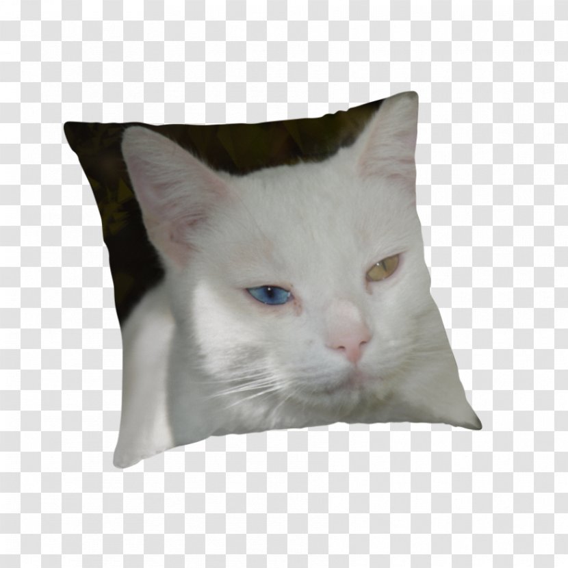 Whiskers Domestic Short-haired Cat Cushion Pillow Transparent PNG