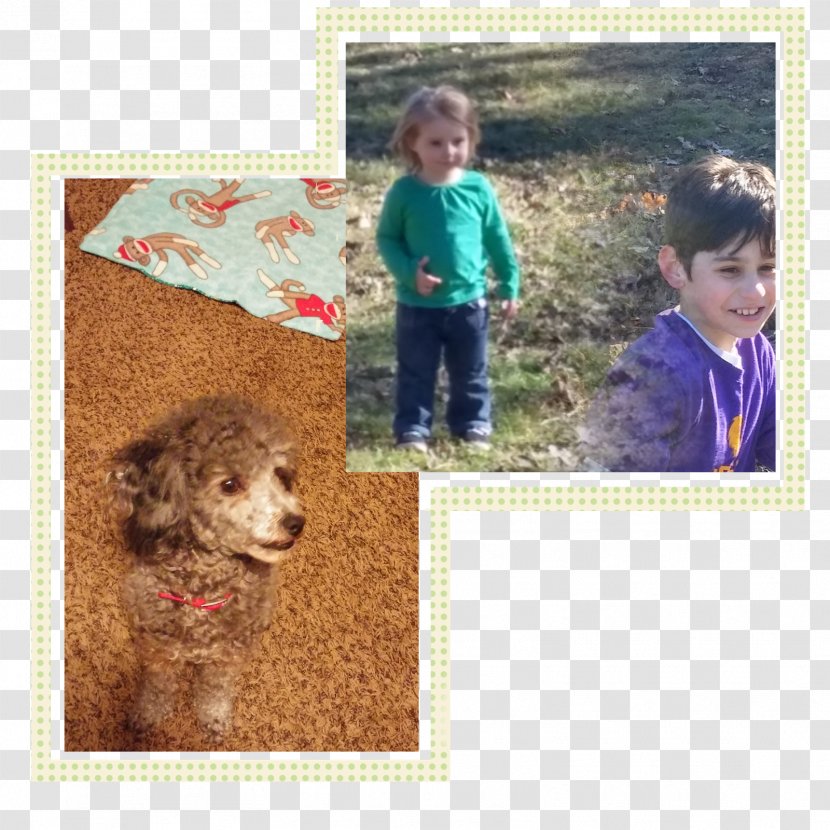 Dog Picture Frames Google Play - Toddler Transparent PNG