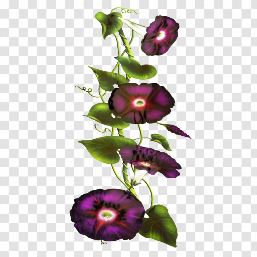 Cut Flowers Floral Design Petal - Violet - Family Transparent PNG
