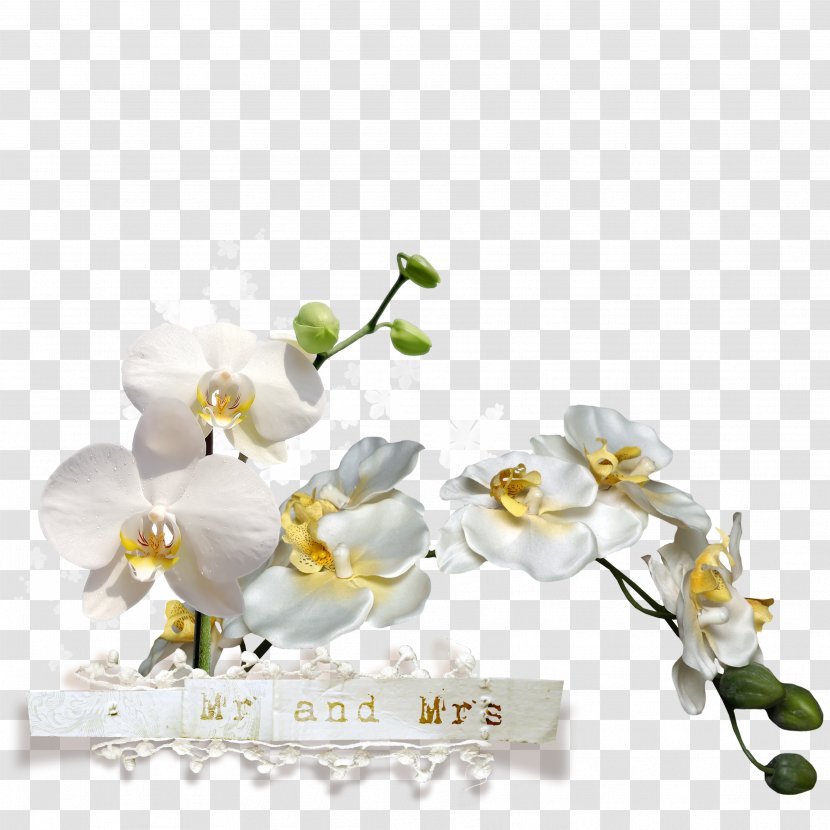 Flower Wedding Clip Art - Bouquet - Creative Lace Transparent PNG