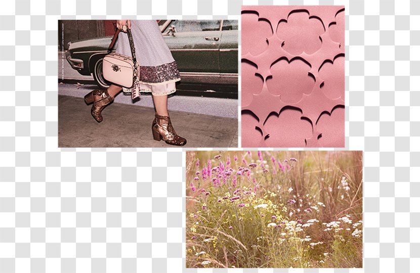 Pink M Shoe - Hailey Baldwin Transparent PNG