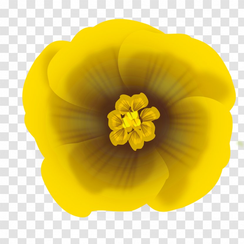 Flower Yellow Clip Art - Frame - Flowers Transparent PNG