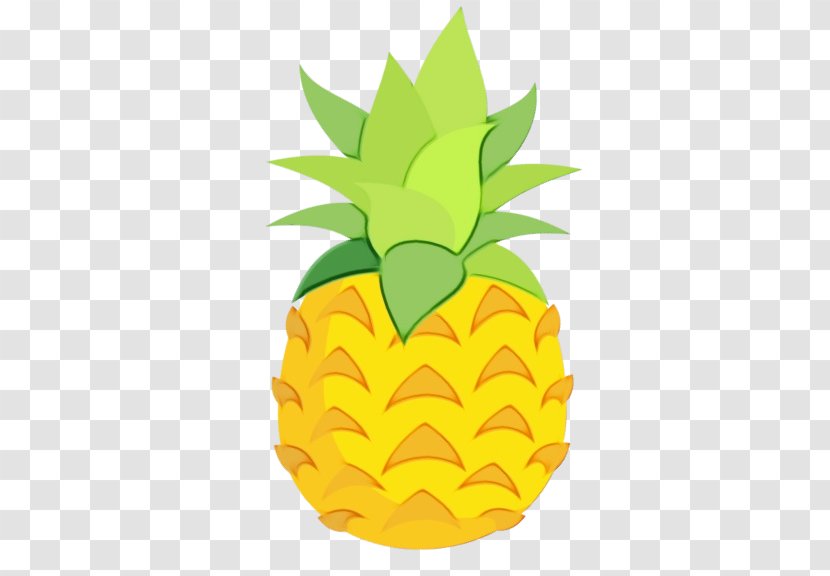 Pineapple - Wet Ink - Poales Leaf Transparent PNG