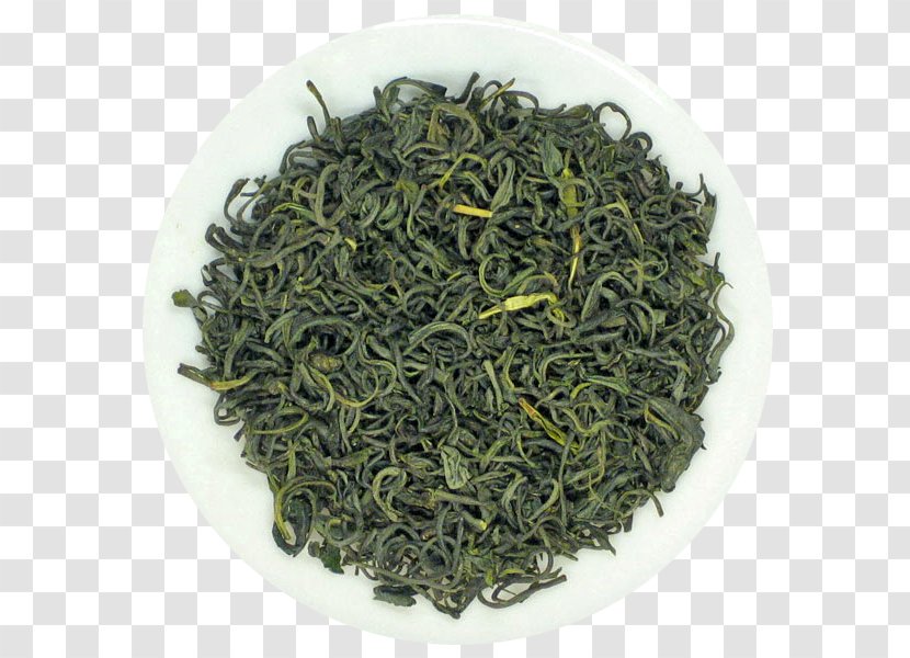 Longjing Tea Gyokuro Biluochun Green - Oolong Transparent PNG