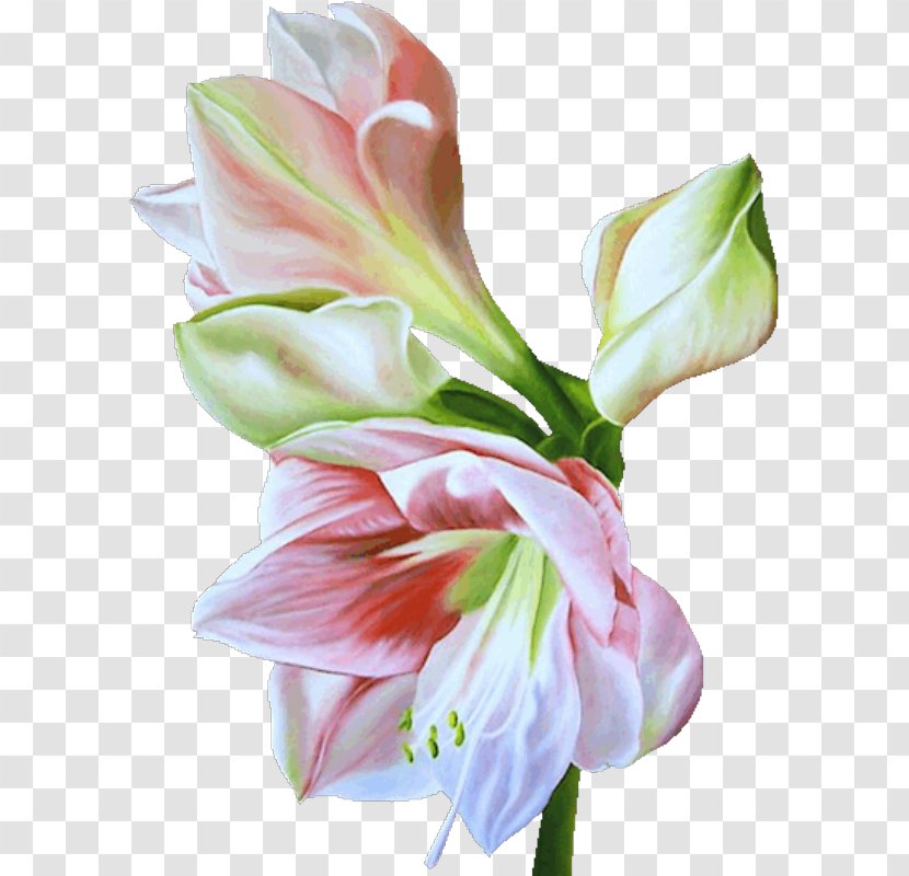 Flower .de Art Floral Design - Painting Transparent PNG