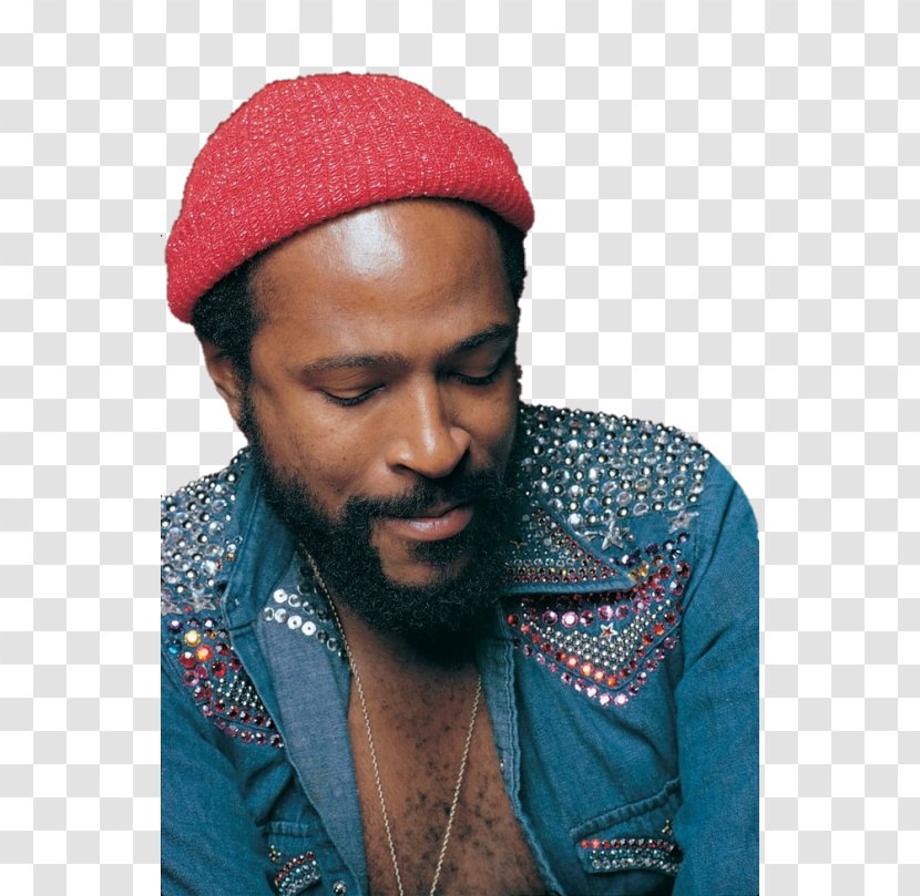 The Marvin Gaye Collection What's Going On Musician Motown - Flower - SCB Transparent PNG