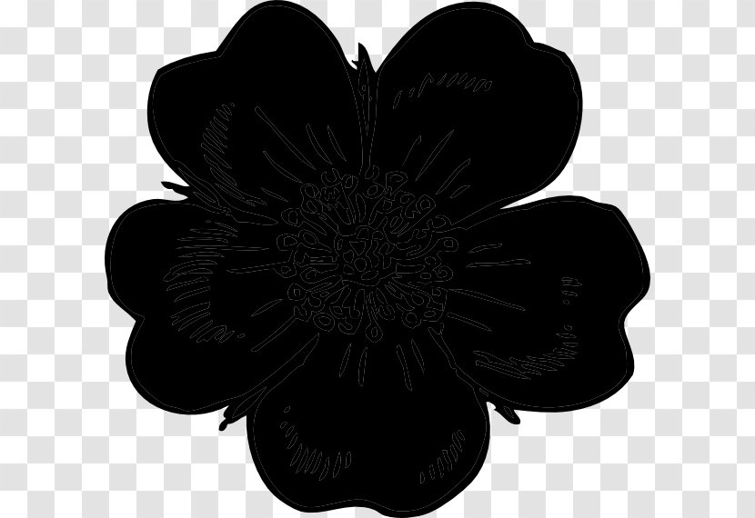 Cut Flowers Black M - Blackandwhite Transparent PNG