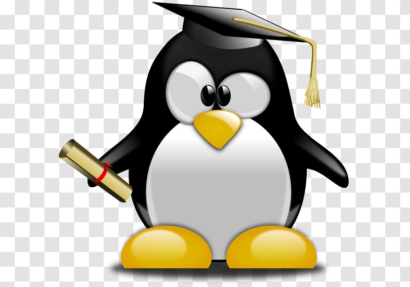 Graduation Ceremony Clip Art Graduate University Openclipart Penguin - School Transparent PNG