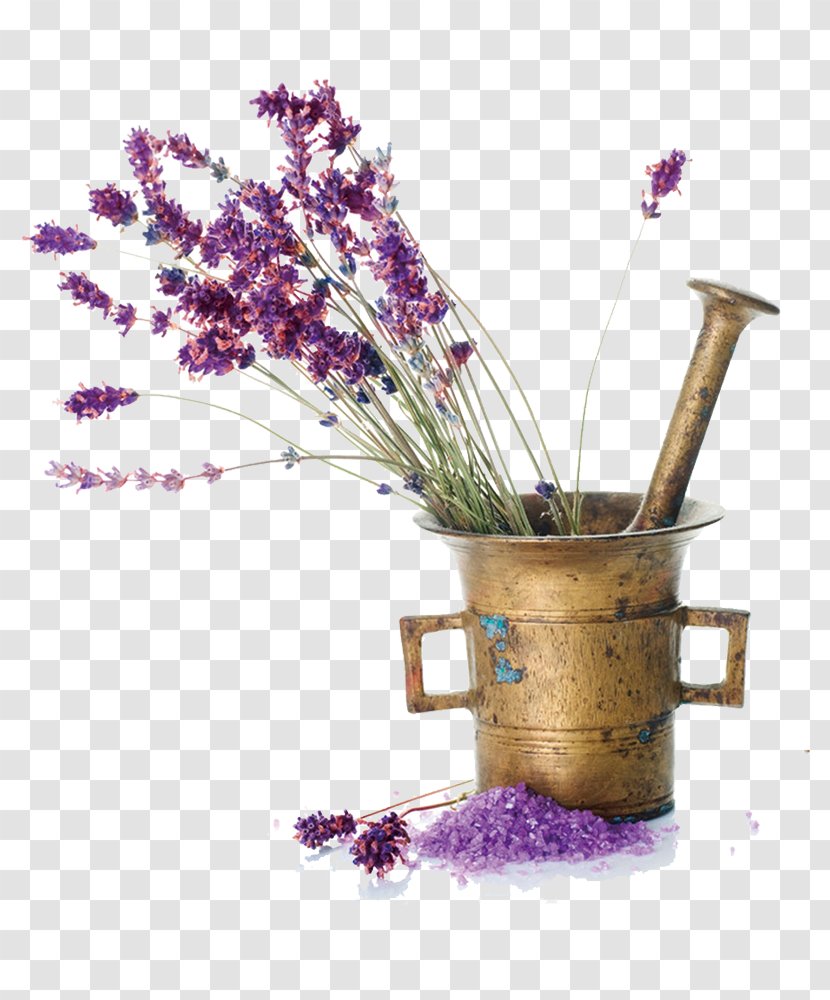 Lavender Oil Escents Aromatherapy Essential Odor - Flower - Vase Transparent PNG
