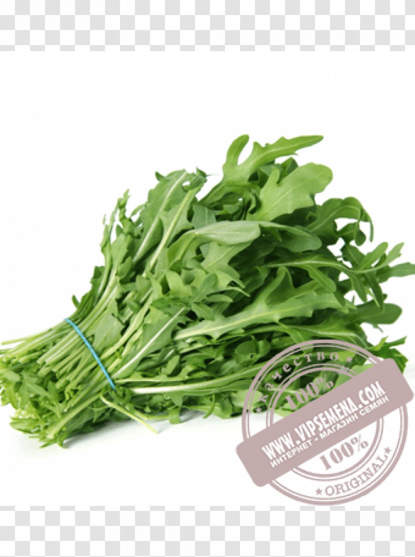 Arugula Salad Herb Vegetable Spice - Coriander - базилик Transparent PNG