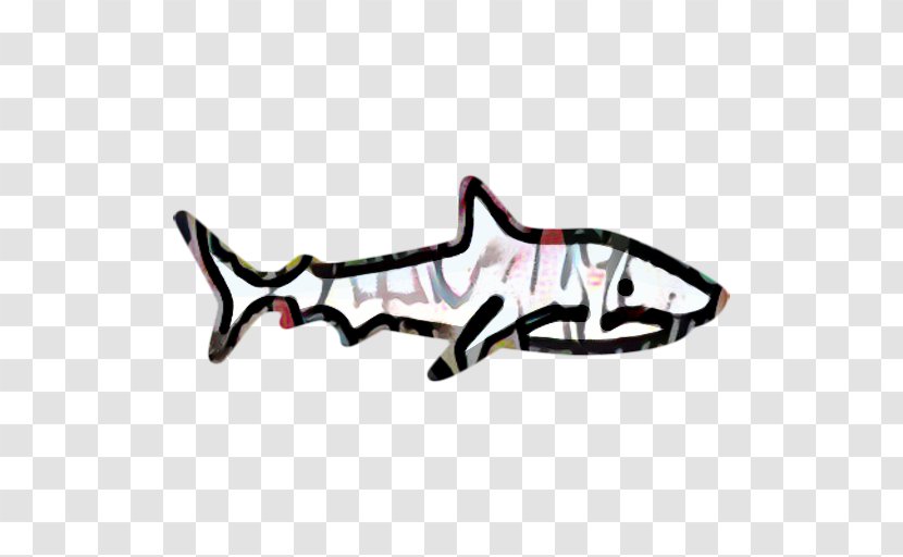 Shark - Carcharhiniformes - Fish Transparent PNG