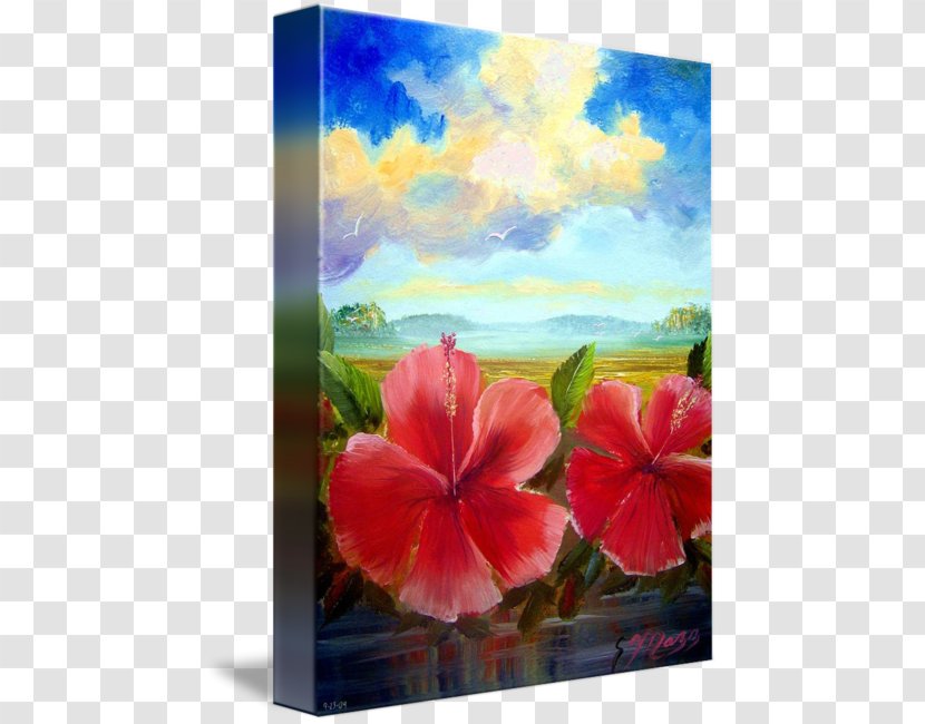 Rosemallows Still Life Acrylic Paint Watercolor Painting - Malvales - Hibiscus Transparent PNG